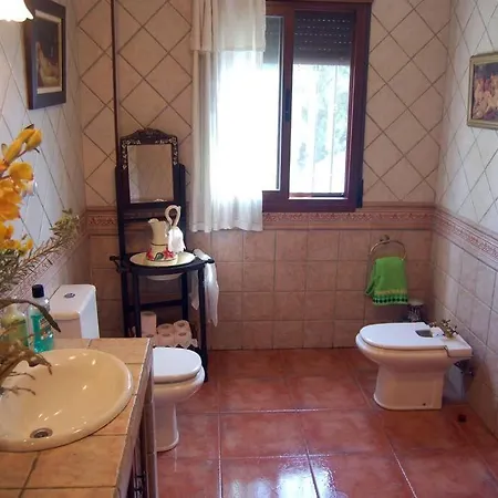 With Swimming Pool And Nature Villa *