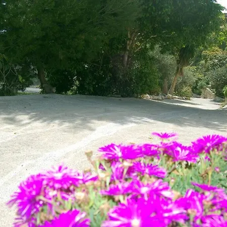 With Swimming Pool And Nature